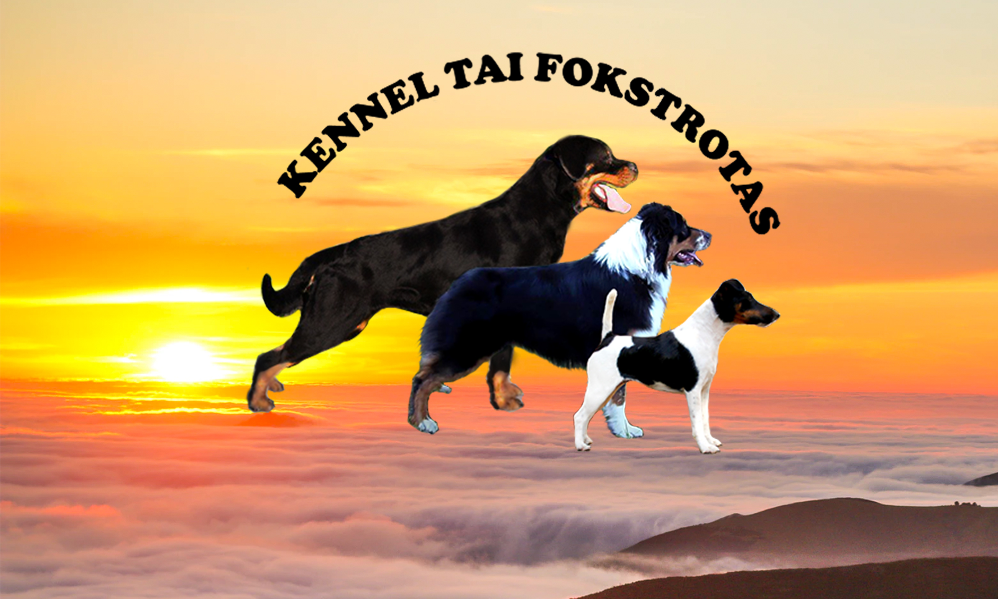 kennel-tai-fokstrotas